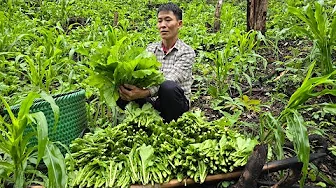 Harvesting Early Season Vegetables & Building Bamboo Fences for Farm Animals | Solo Survival