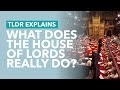 What does the house of lords really do  tldr explains