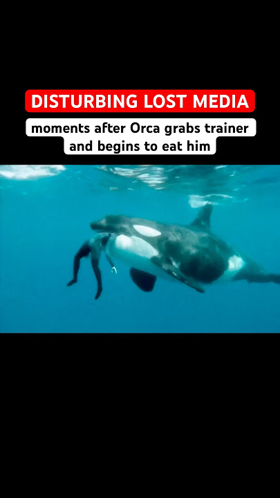 Scary video after Captive Orca grabs trainer