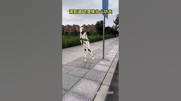 #robots #funny #funny #robots #robotics #comedy #robot #shortsviral #shortvideos #shorts #trending