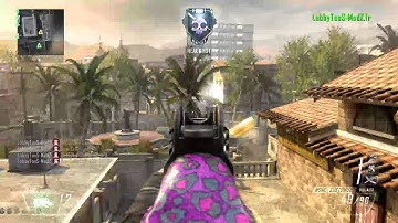 found a hacker in black ops 2