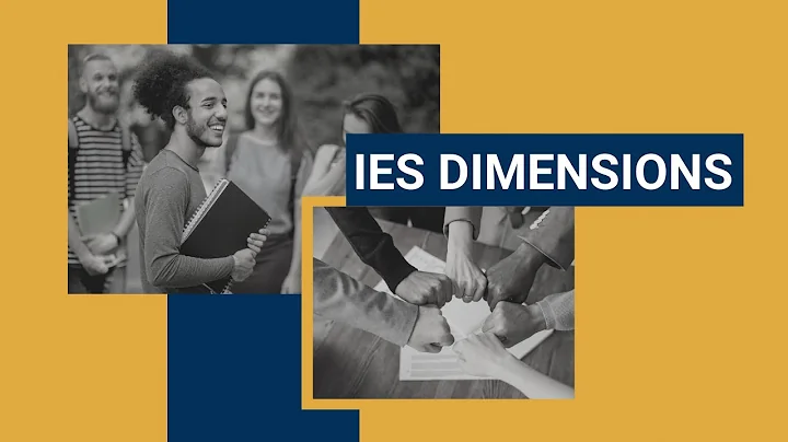 Understanding the IES Dimensions