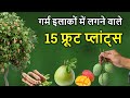 गर्म इलाको में लगाए ये 15  फ्रूट प्लांट्स ।। Fruit plant to Grow in Hot Areas.