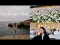 TRAVEL WITH ME: San Diego Vlog // the flower field, sunset cliffs, balboa park