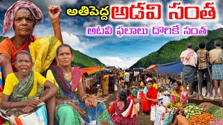 అల్లూరి జిల్లాలో ఆడవిసంత అదుర్స్ |Tribal Market in dency forest #maredumilli @MyluRams