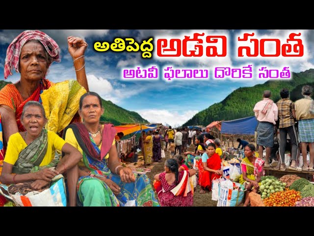 అల్లూరి జిల్లాలో ఆడవిసంత అదుర్స్ |Tribal Market in dency forest #maredumilli @MyluRams class=