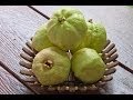 فوائد فاكهة الجوافة - YouTube