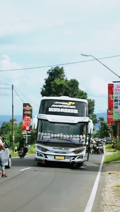 Story'wa Bus Pariwisata Tunggal Jaya KIDS PANDA