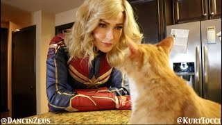 WHEN YOUR CAT KNOWS Cptn. MARVEL!