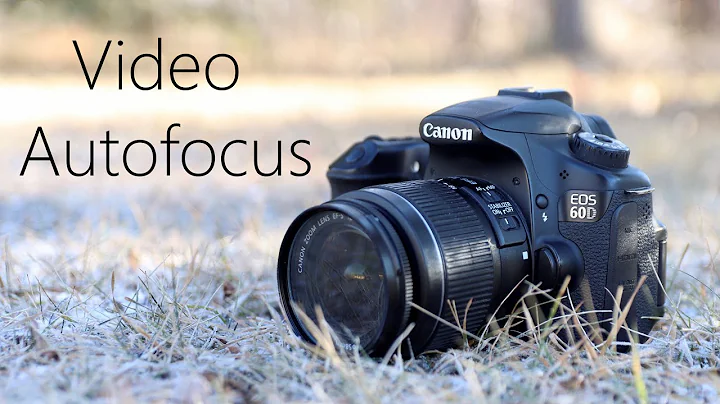 Dealing With Canon 60D's Video Autofocus