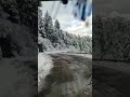 Shimla Kufri Heavy snowfall 5 January 2022