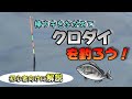 【超入門だんご釣り】黒鯛を釣るための簡単紀州釣り解説！