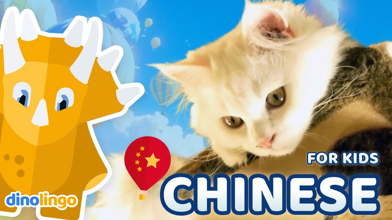 子供向け中国語 | オンライン中国語レッスン | 子供向け中国語学習