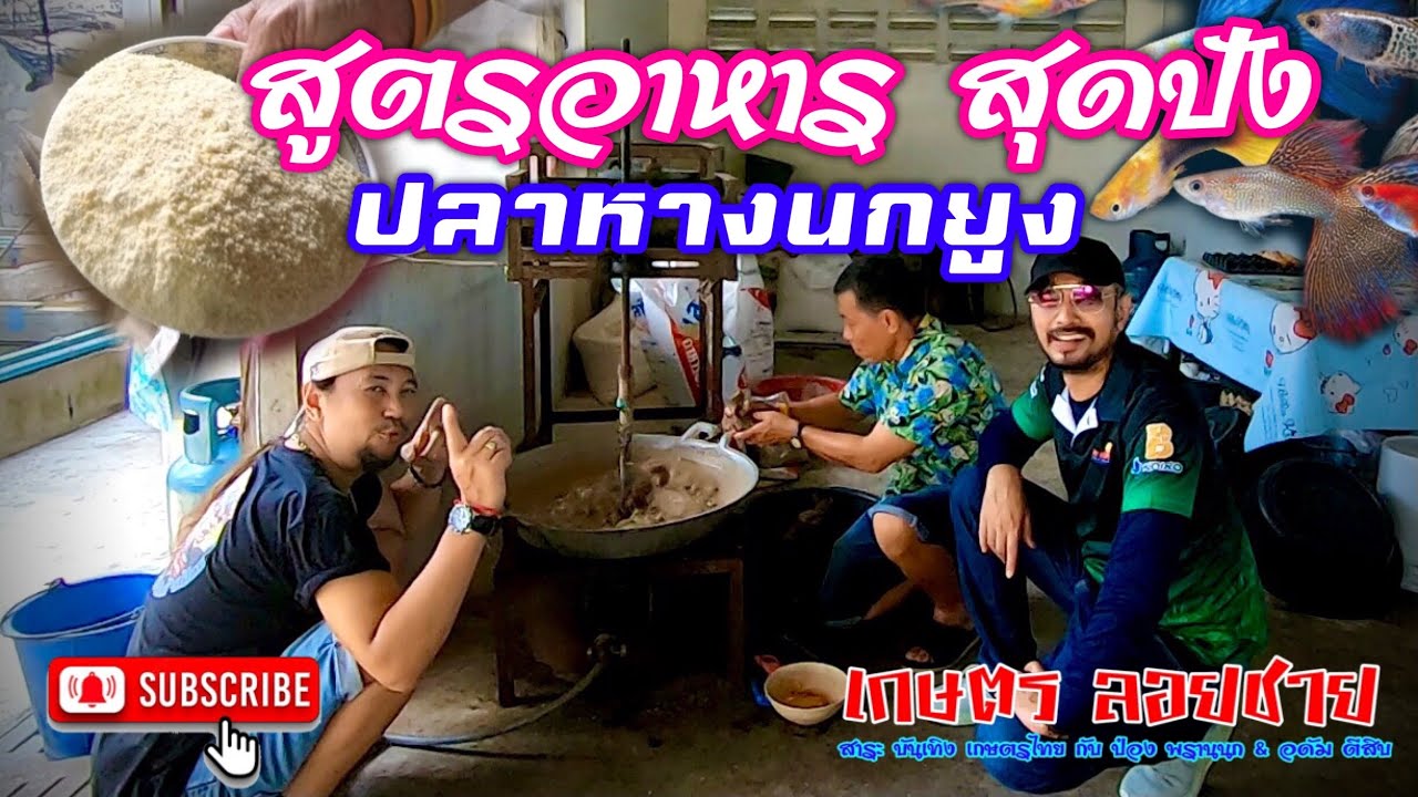 อาหารปลาหางนกยูง สูตรเด็ด กินดีโตไว…สุดปัง@PongLoychai