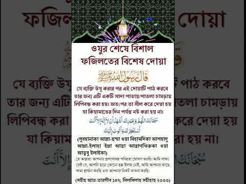 ভিডিও: কিভাবে একটি আরভি টয়লেট সীল প্রতিস্থাপন করবেন: 15 টি ধাপ (ছবি সহ)