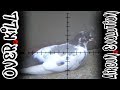 Big bore pigeon hunt  donnyfl emperor and ronin  airgun evolution