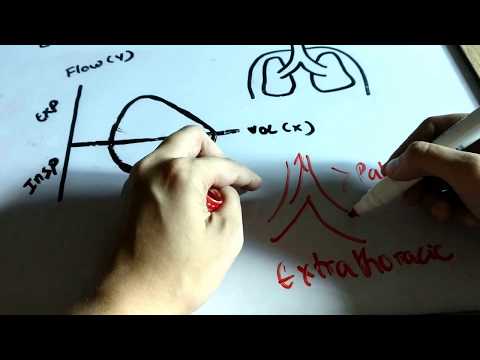 Flow Volume Loop Explained With Mnemonics 