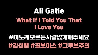 [KOR SUB]﻿ Ali Gatie - What If I Told You That I Love You (가사/번역/듣기) lyrics