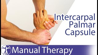 Intercarpal Assessment & Mobilization Wrist Extension | Scaphotrapeziotrapezoid Joint