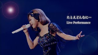 西野カナ『たとえどんなに...』 Live Perfomence-サブスク全曲解禁記念