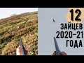 ВСЕ 12 ЗАЙЦЕВ!!Сезона 2020-21г.!!!!Охота на зайца в БЕЛАРУСИ.Hare hunting in BELARUS.