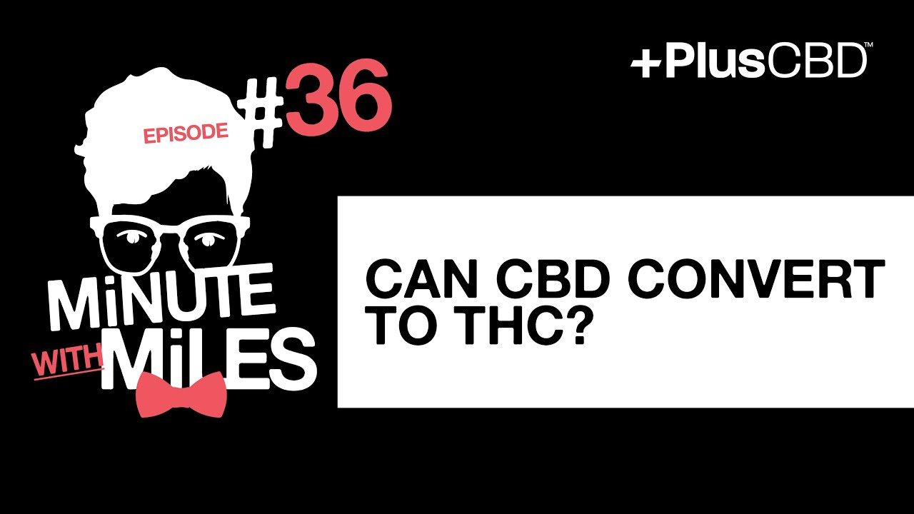 Can CBD Convert to THC? | Minute with Miles