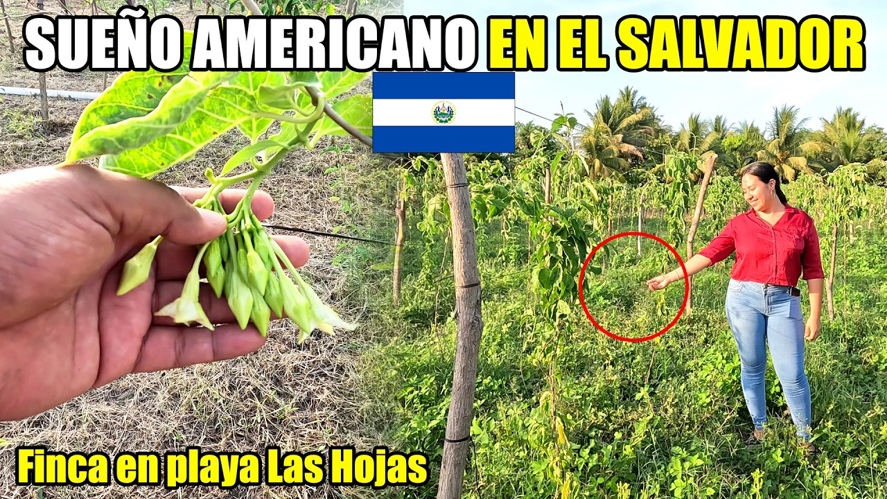 HERMANO LEJANO HACE REALIDAD EL SUEÑO AMERICANO EN EL SALVADOR 🙏😱😍 HERMOSA FINCA EN PLAYA LAS HOJAS