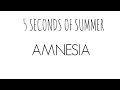 5 Seconds Of Summer  Amnesia Lyrics