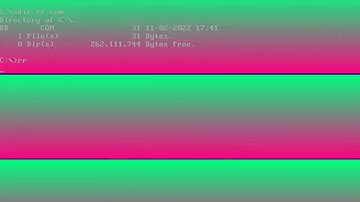 RaetRace - a 32 byte intro for DOS doing rasterbars