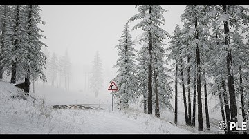 PLE Tutorials // How to make Winter ?