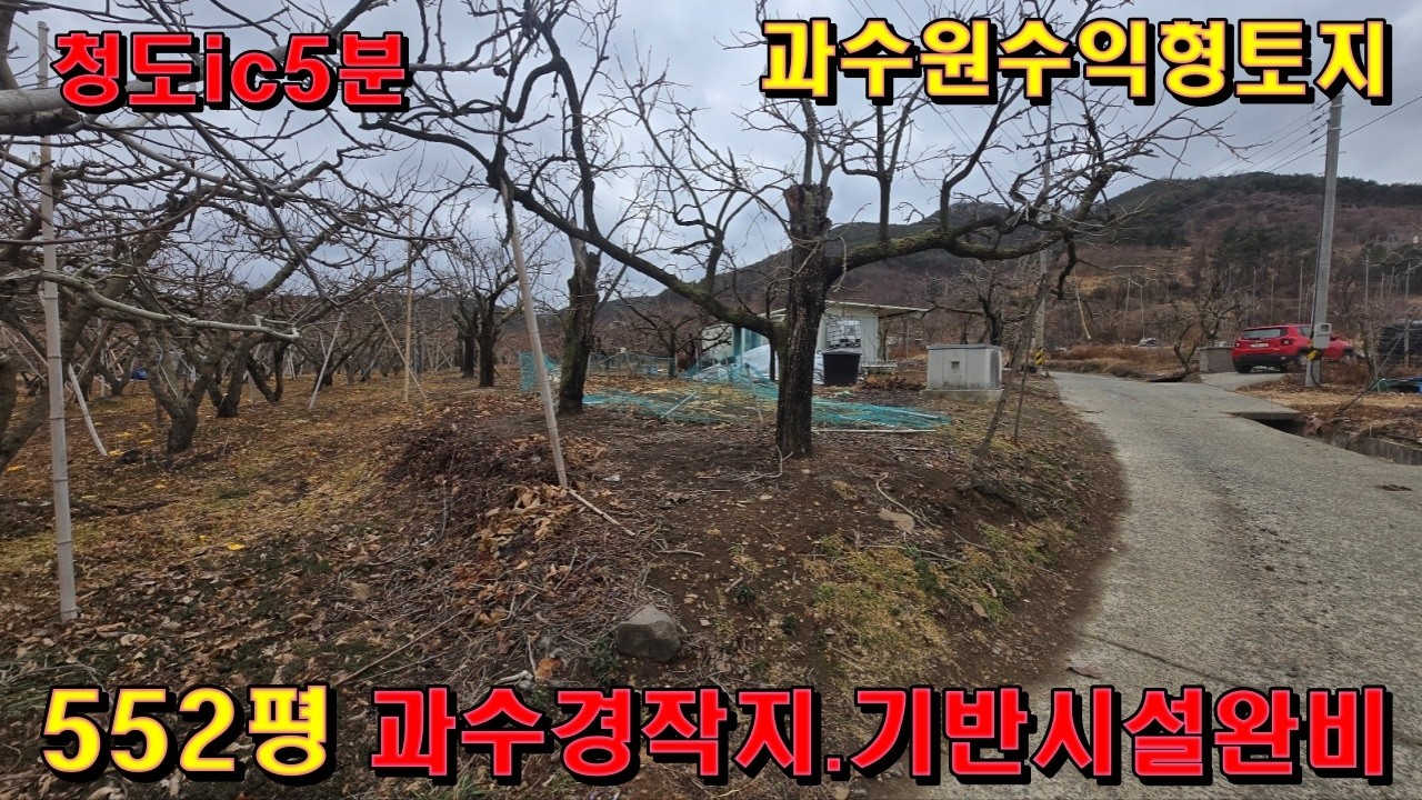 [665]청도땅매매~~청도ic5분.552평과수경작지.기반시설완비!!전원주택가능
