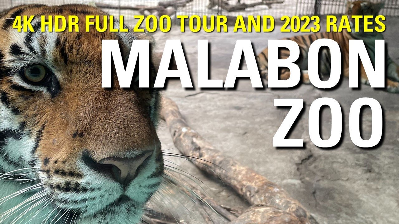 Malabon Zoo Aquarium & Botanical Garden ZOO RECOVERY DONATION DRIVE Full Walk Tour [4K HDR] 🇵🇭