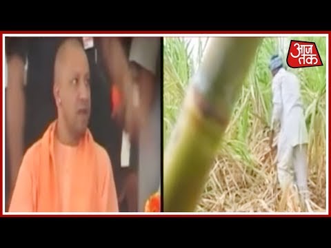 Yogi Adityanath का चीनी राग, किसानों के ज़ख्मों पर नमक !