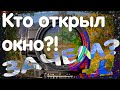 Кто окно открыл!? | Montaje