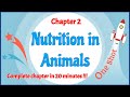 Class 7 chapter 2 nutrition in animals oneshot  complete chapter in 20 minutes   learnfatafat