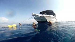 Diving Seychelles 2023