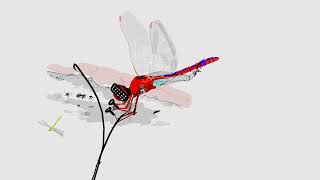Dragonfly with VR Glasses