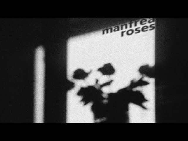 在 YouTube 上觀看「Manfrea - Roses」