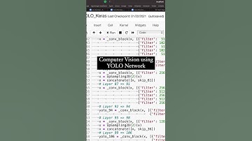 Computer Vision using YOLO Network | YOLO Algorithm