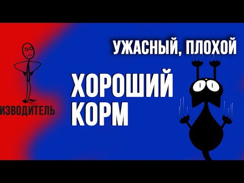 Чем кормить кота