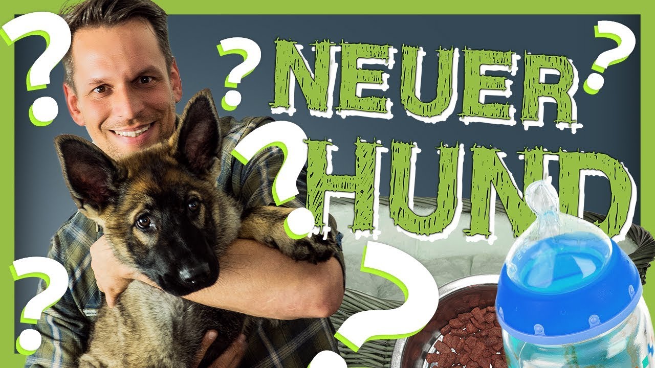 WELPEN ERSTAUSSTATTUNG | Was braucht mein neuer Welpe | Hund kaufen | Hundezubehör