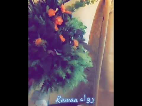محمد محي هتسبني بجدرواء