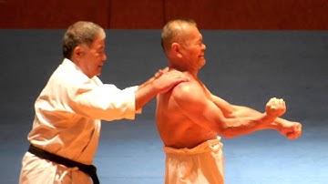 The most dangerous Men in Japan  (HIGAONNA and  Terauchi Sensei)