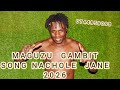 MAGUZU GAMBIT SONG NACHOLE JANE OFFICIAL AUDIO 2026 MOSIB Situdio