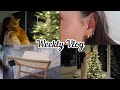 VLOG: Christmas Tree, New Jewelry, Furniture Update & New Shooting Location! | Emma Rose