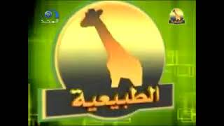 فاصل : الآن (قصة انقراض) / قناة المجد الطبيعية نقلًا من القناة العامة ١٤٢٩هـ