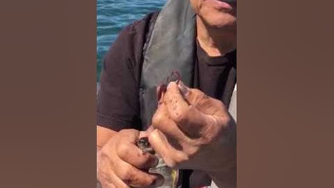 How to use a worm threaders