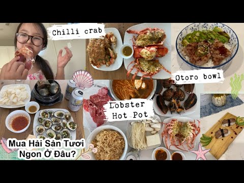 Cuối Tuần Làm Một Bữa Hải Sản Ngon Ngon ♥ Mua Ốc Sò Tôm Cua Ở Đâu Tươi Ngon? | mattalehang | Foci