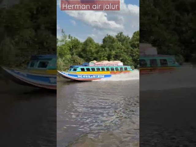 Speedboat KALFIN  sungai Baung - Palembang PP#shorts class=