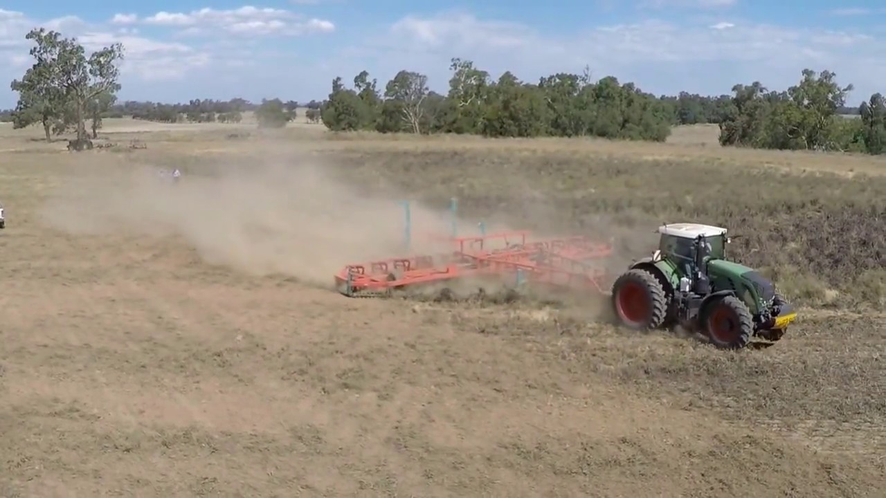 ChainBar - Attacking Lupins & Fleabane